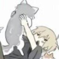 121234