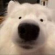 554488