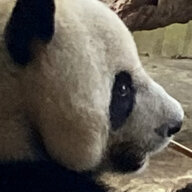 liuziqi