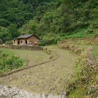 高原