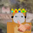 wdnmdfp